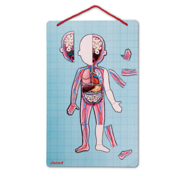 Janod Body Magnet Bodymagnet Educational Human Body Anatomy Game NEW SEALED